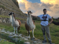 Michael petting llamas at Sayacmarca ruins